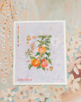 Peaches & Shells