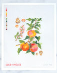Peaches & Shells