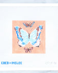 Coral Butterfly