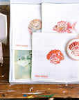 Coral Scallop Shell
